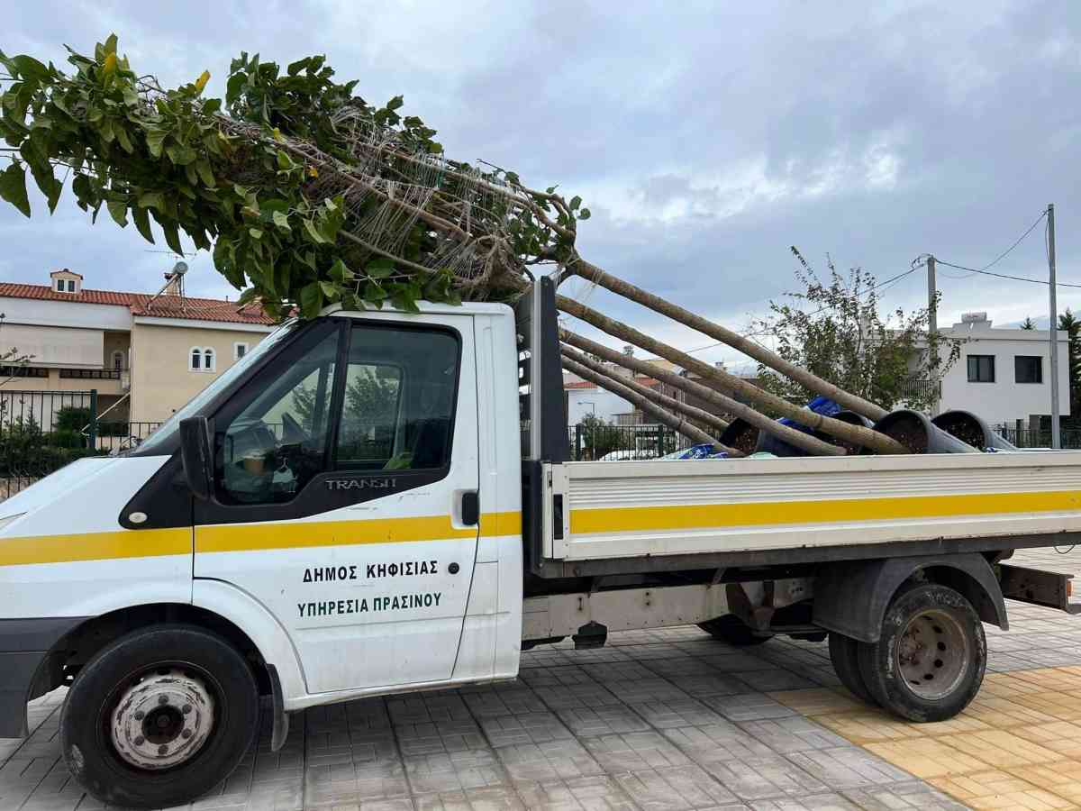 Φυτεύσεις