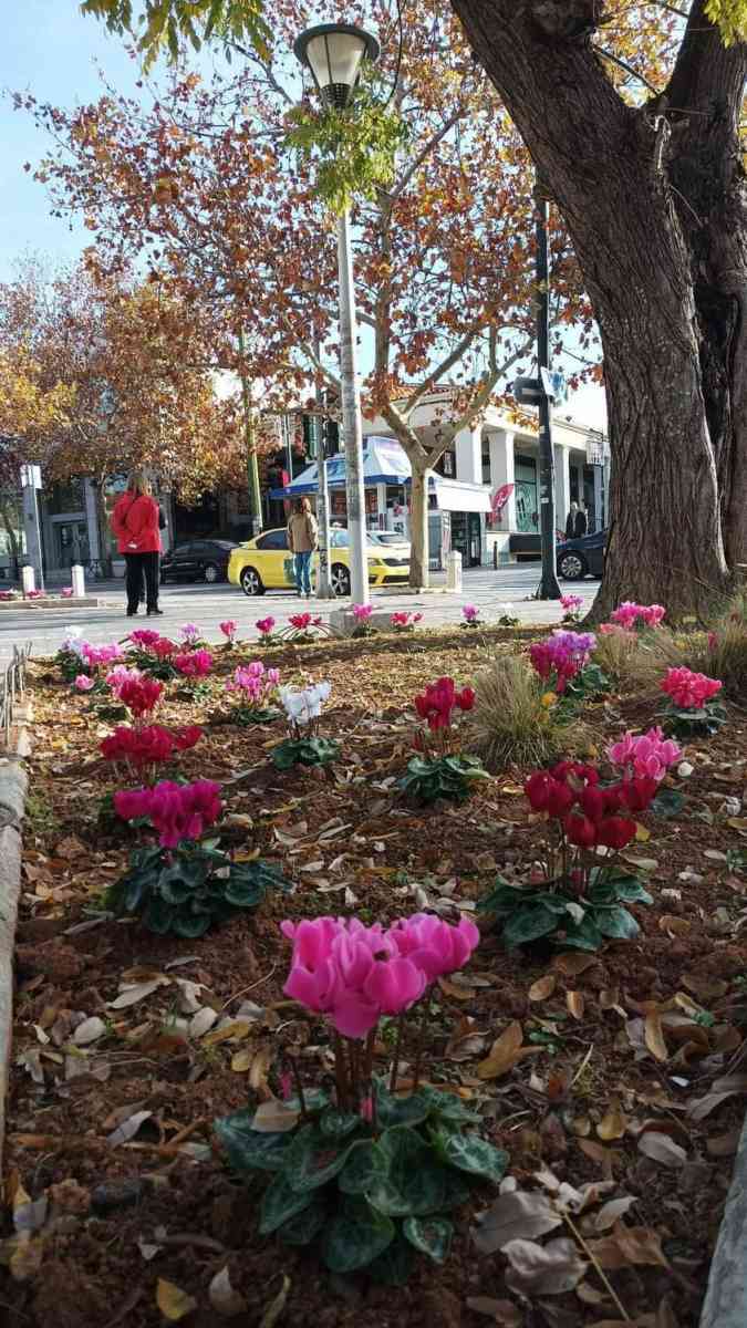 Υπηρεσία Πρασίνου