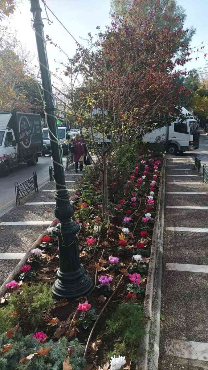 Υπηρεσία Πρασίνου