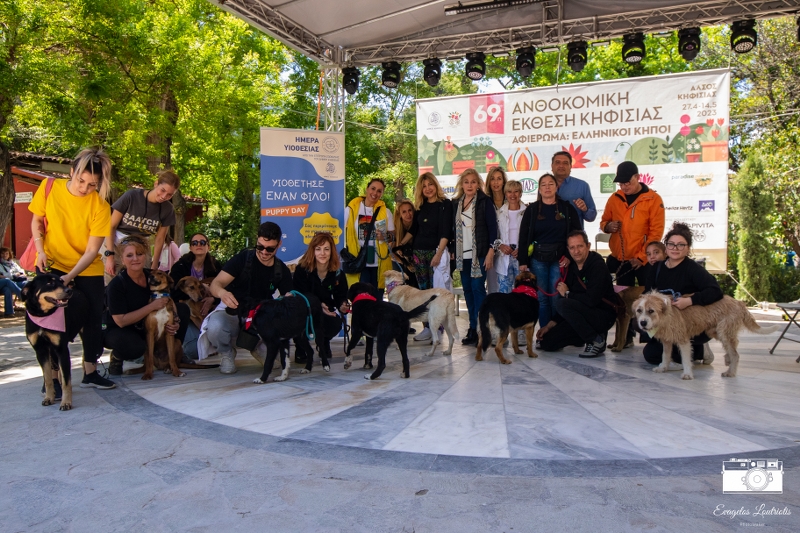 Ημέρα υιοθεσίας αδέσποτων ζώων