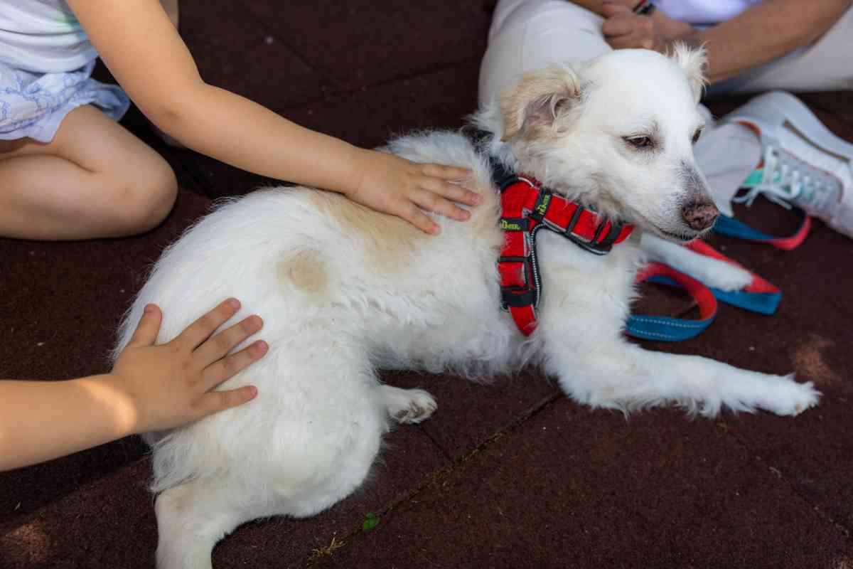 Παιδικός σταθμός «Βίλα Μιχλ»